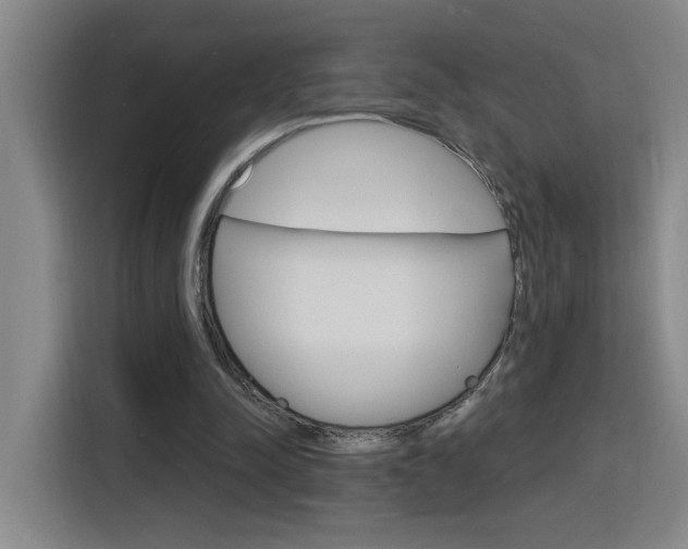 X0000116150342200911230956