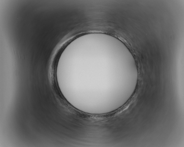 X0000116150343200911230956