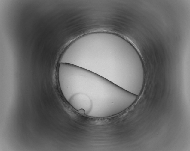 X0000116150345200911230956