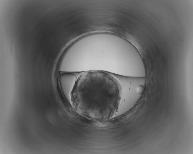 X0000116150346200911230956