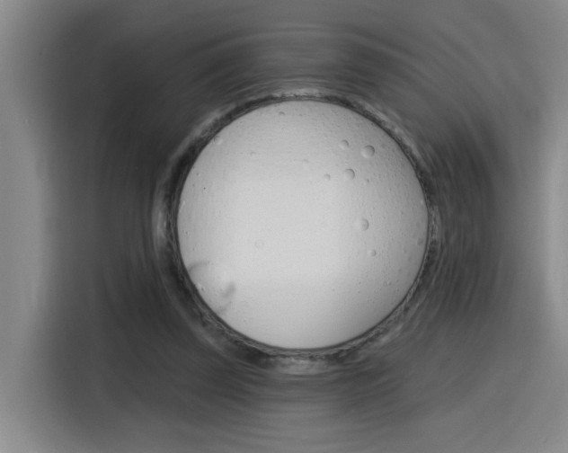 X0000116150347200911230956