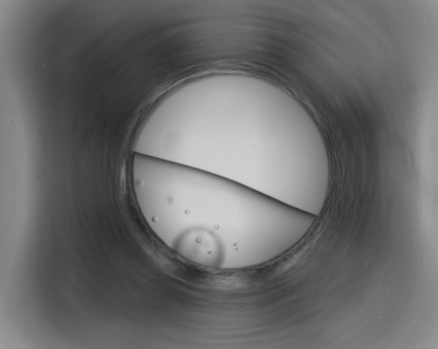 X0000116150349200911230956