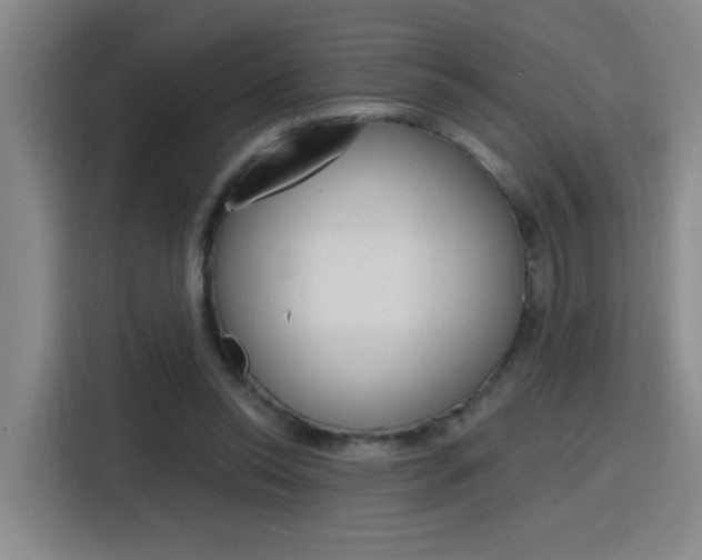 X0000116150350200911230956