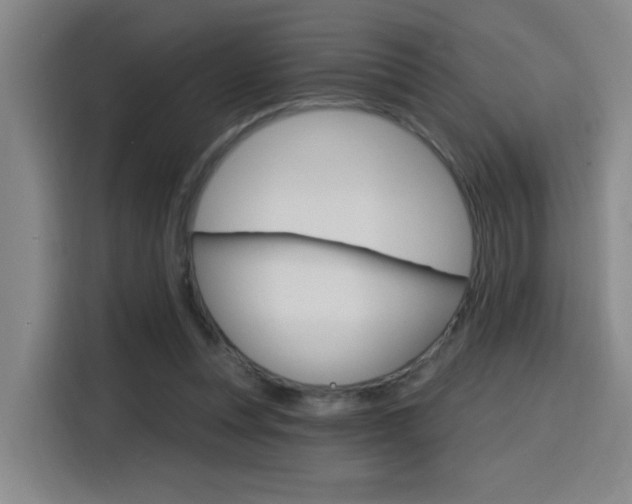 X0000116150351200911230956