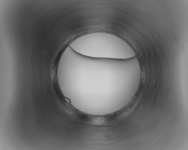 X0000116150355200911230956