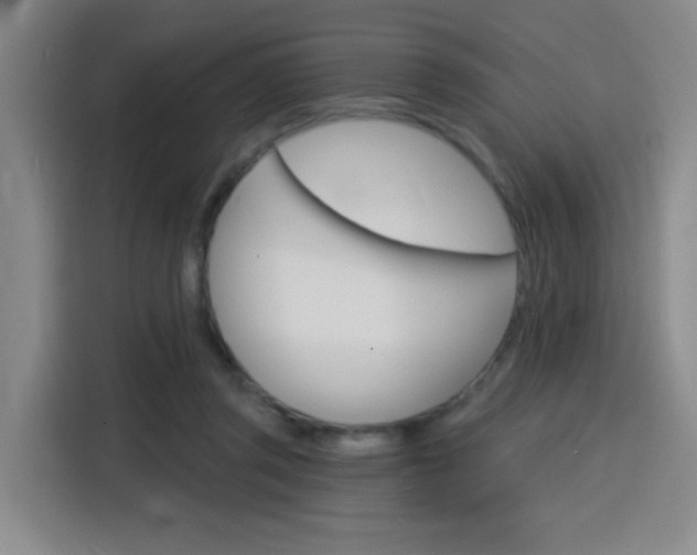 X0000116150357200911230956