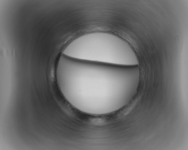 X0000116150358200911230956