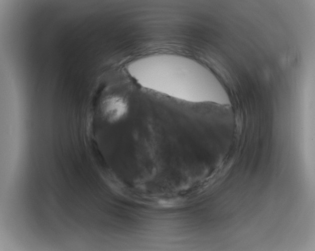 X0000116150359200911230956
