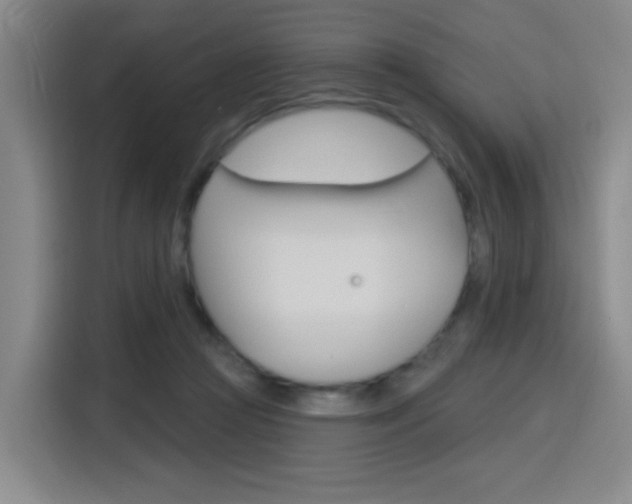 X0000116150361200911230956