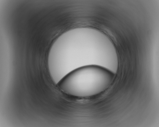 X0000116150362200911230956