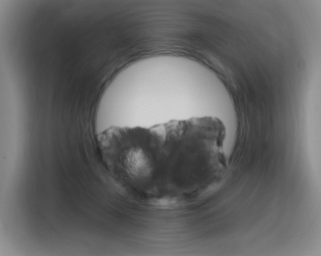 X0000116150366200911230956