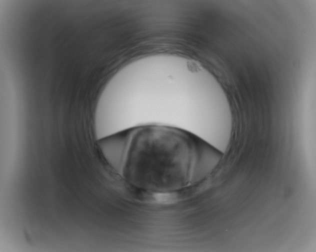 X0000116150371200911230956