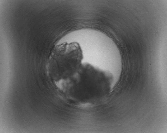 X0000116150374200911230956