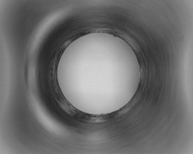 X0000116150381200911230956