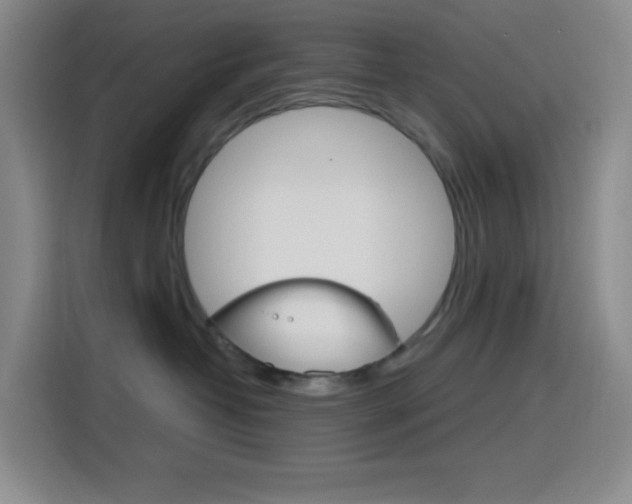 X0000116150382200911230956