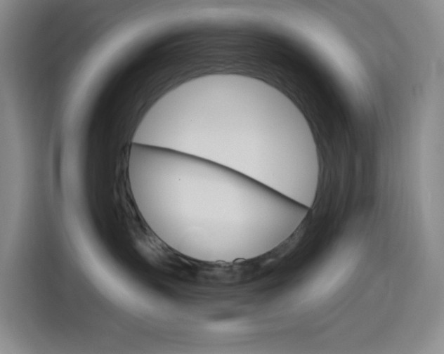 X0000116150383200911230956