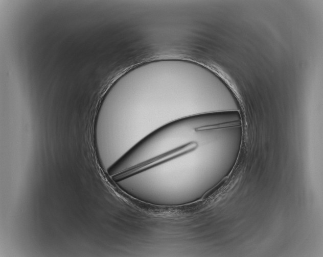 X0000116150385200911230956