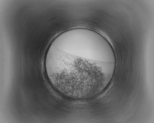 X0000116150386200911230956