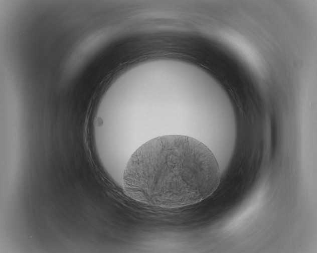 X0000116150387200911230956
