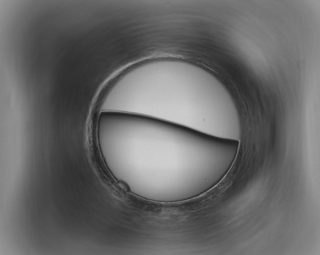 X0000116150388200911230956