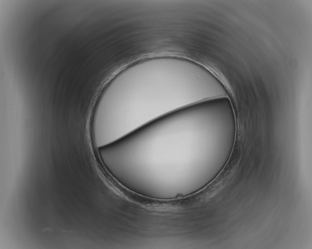 X0000116150389200911230956
