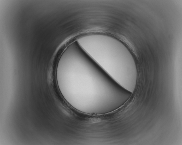 X0000116150392200911230956