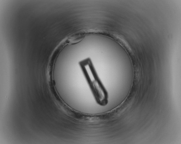 X0000116150395200911230956