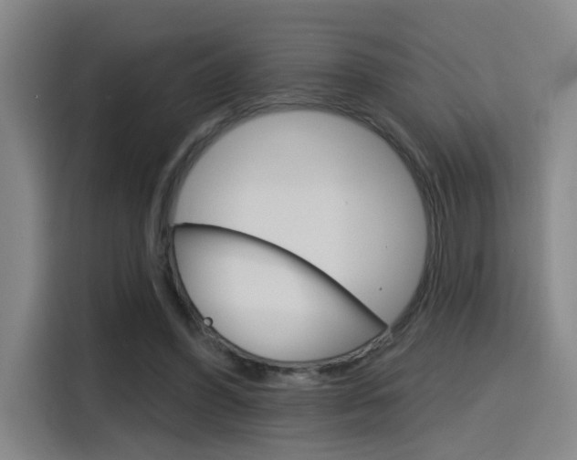 X0000116150396200911230956