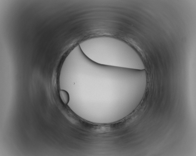 X0000116150398200911230956