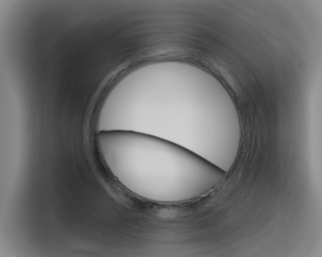 X0000116150400200911230956