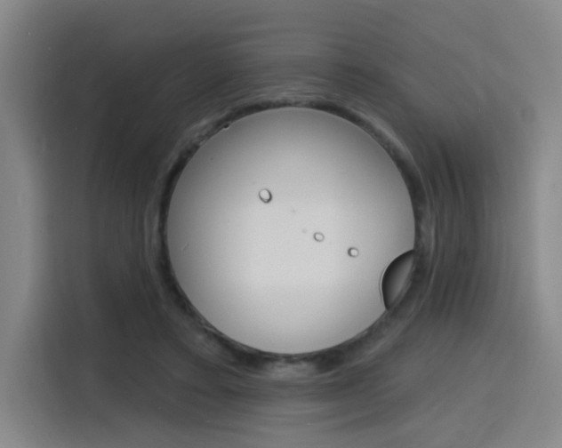 X0000116150403200911230956