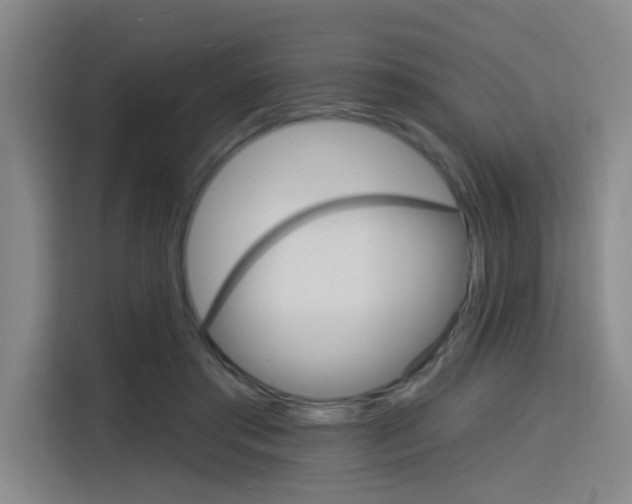 X0000116150405200911230955