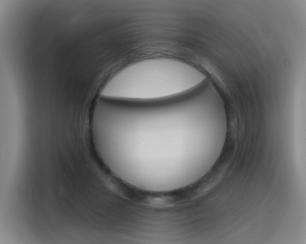 X0000116150407200911230955