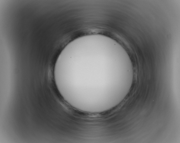 X0000116150410200911230955