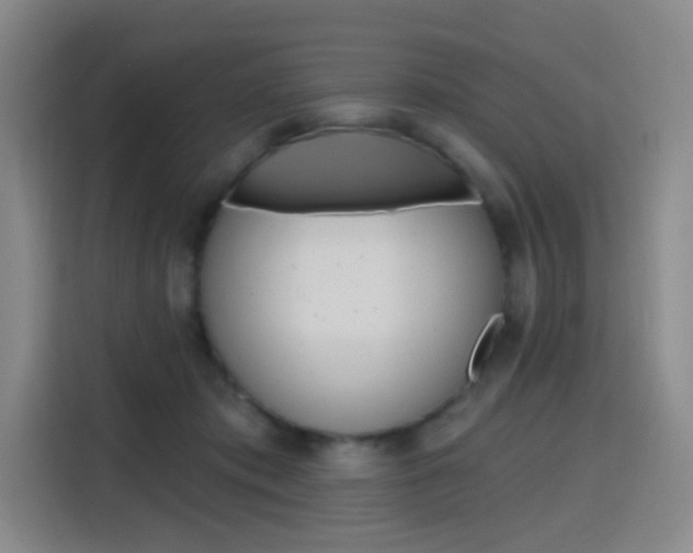 X0000116150413200911230955