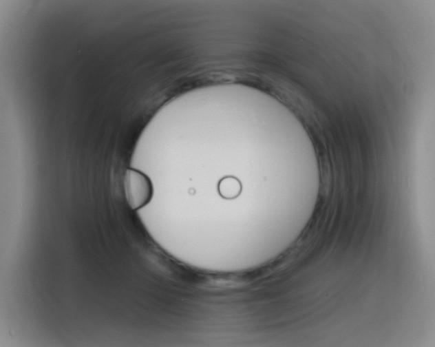 X0000116150414200911230955