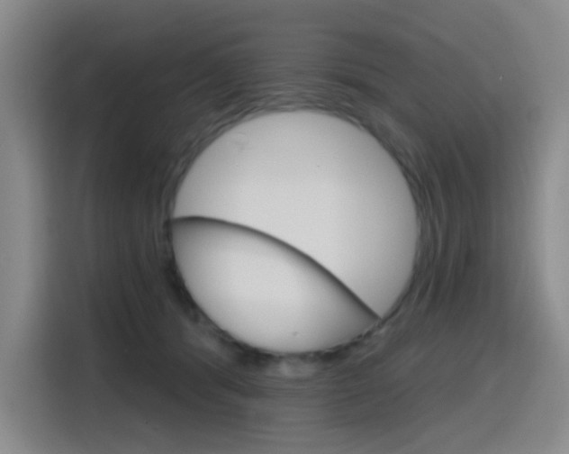 X0000116150416200911230955