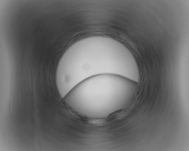 X0000116150417200911230955