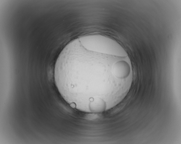 X0000116150418200911230955