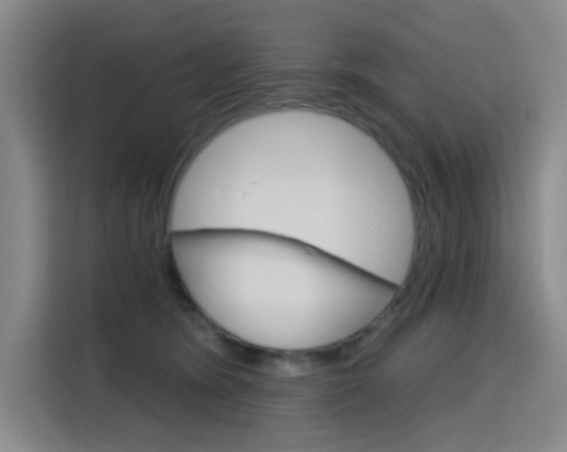 X0000116150420200911230955