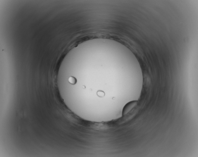 X0000116150421200911230955