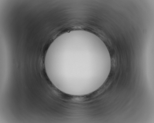 X0000116150422200911230955