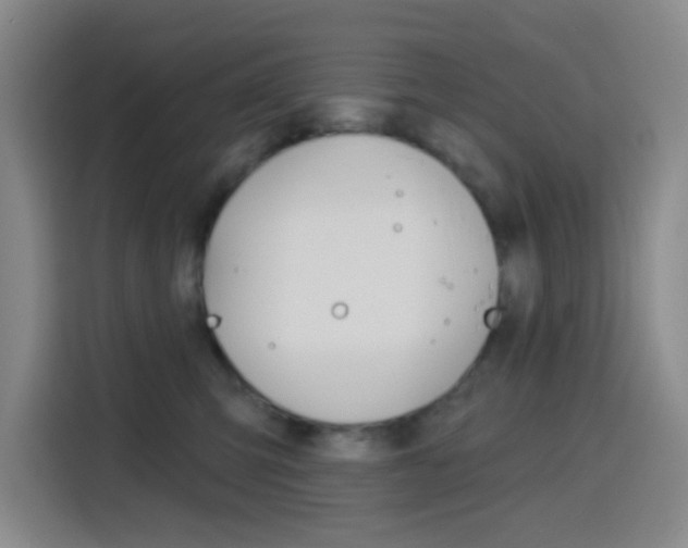 X0000116150423200911230955