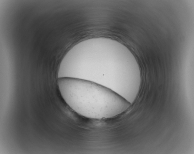 X0000116150424200911230955