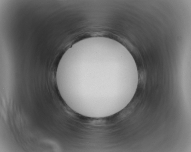 X0000116150426200911230955