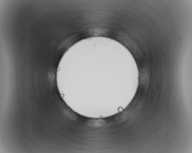 X0000116150427200911230955