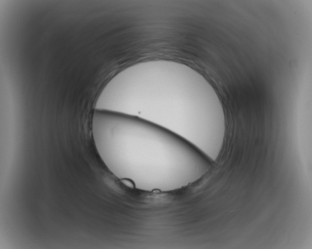 X0000116150428200911230955