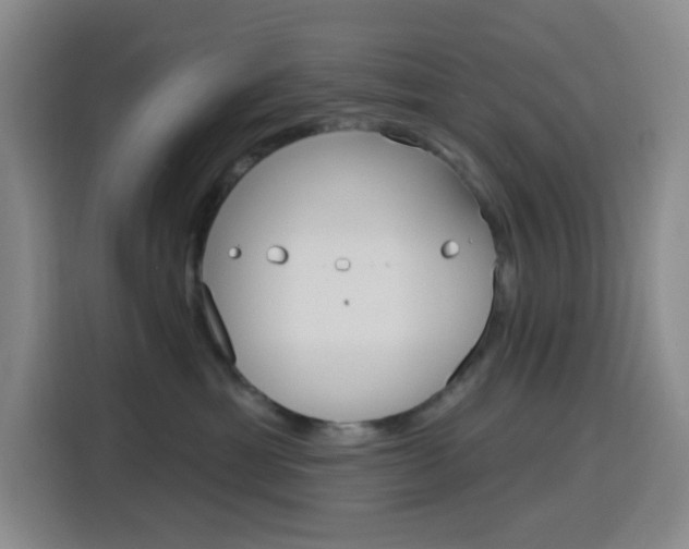 X0000116150429200911230955