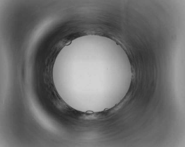X0000116150430200911230955