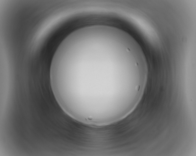 X0000116150431200911230955